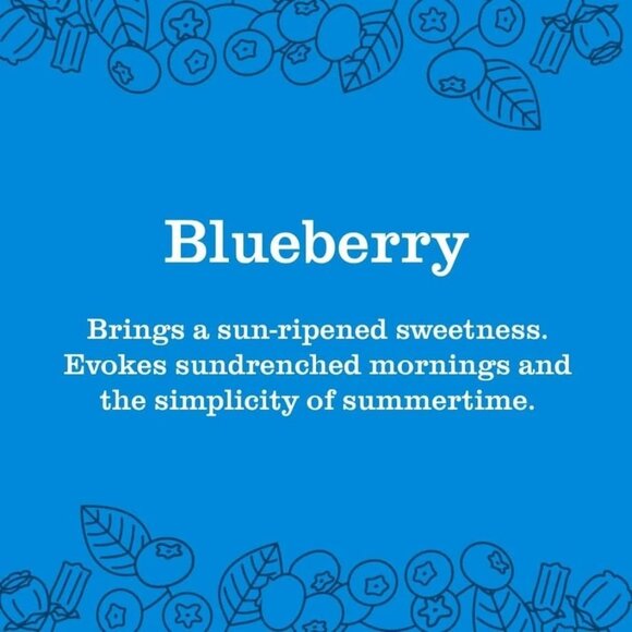 Case of 6 Mrs. MEYER'S CLEAN DAY Liquid Hand Soap, Blueberry, 12.5 Fl Oz - Picture 4 of 5